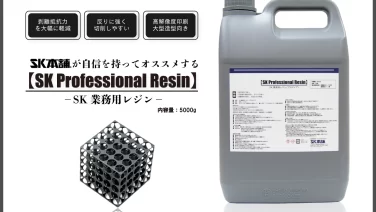 クーポン利用で2750円&送料無料 SK業務用レジン(SK Professional Resin